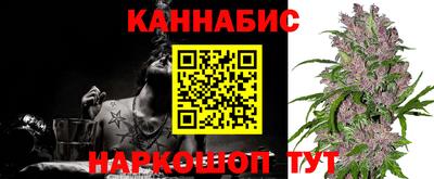 крисы Коммунар